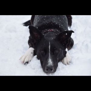 Meet your Posher, Michaela